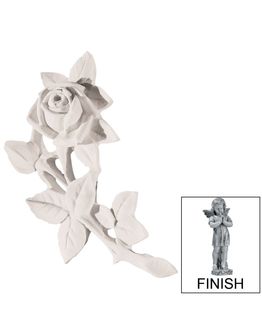 rosa-s-targa-k0558ag.jpg