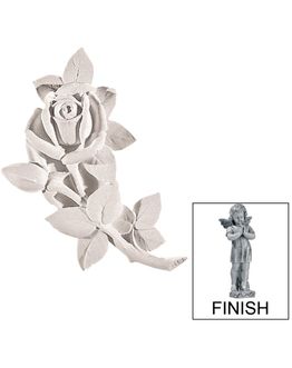 rosa-s-targa-k0562ag.jpg