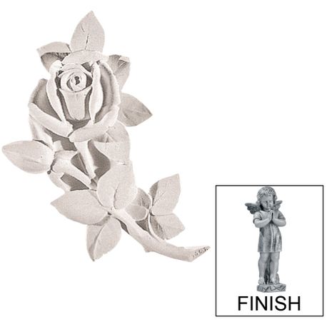 rosa-s-targa-k0562ag.jpg